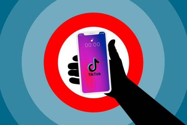 TikTok Anonymous Viewer