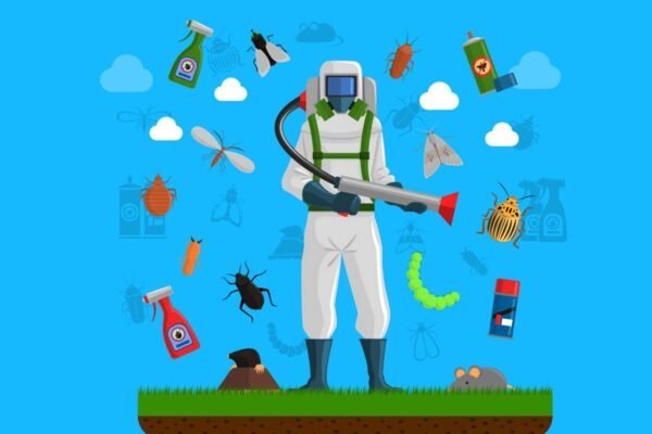 CJM: The Best Dust Mite Removal Service in Bangkok (2025) CJM Dust Mite Removal