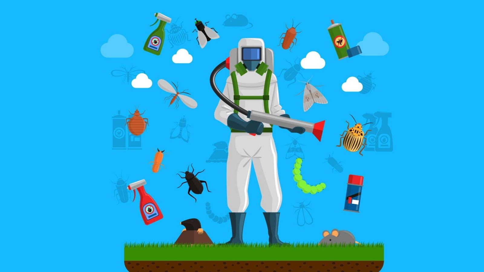 CJM Dust Mite Removal