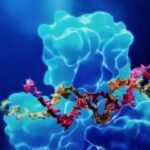 How Do You Validate ADA Screening Assays? Validate