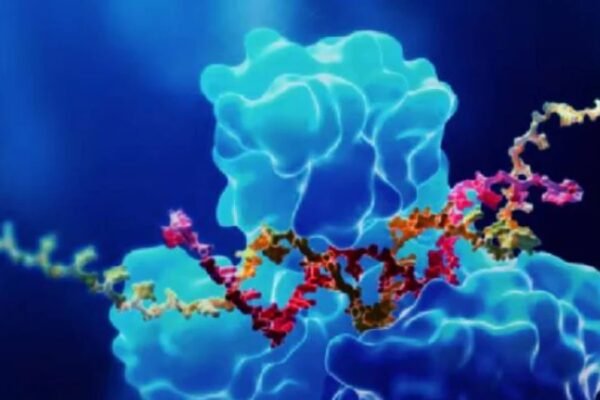 How Do You Validate ADA Screening Assays? Validate